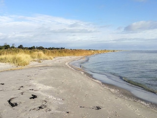 Maison de vacances Hals  35