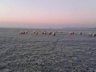 Vakantiehuis Idskenhuizen Buitenaudio-opname 5