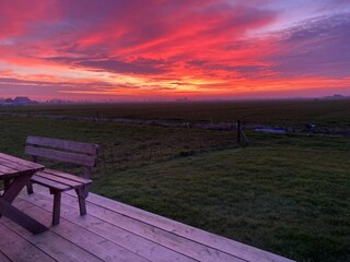 Holiday house Idskenhuizen Outdoor Recording 3