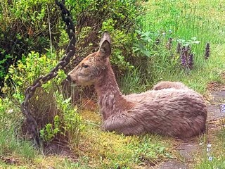 Vakantiehuis Vänersborg  14