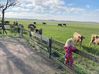 Vakantiehuis Idskenhuizen Buitenaudio-opname 11