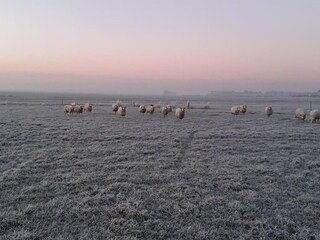 Casa per le vacanze Idskenhuizen Registrazione all'aperto 7