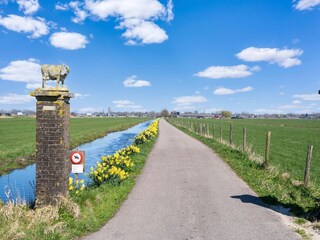 Vakantiehuis Broek in Waterland Omgeving 23