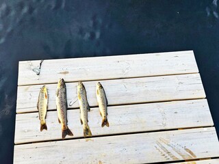 Vakantiehuis Lyngdal  16