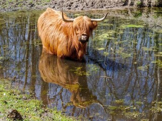 Apartment Den Haag Environment 50