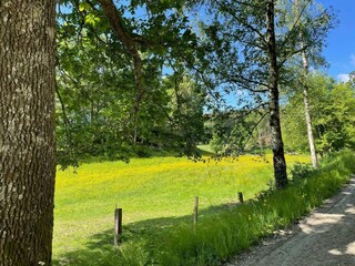 Holiday house Grohed Outdoor Recording 1