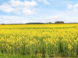 Ferienhaus Grohed  23