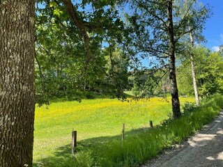 Ferienhaus Grohed Außenaufnahme 3