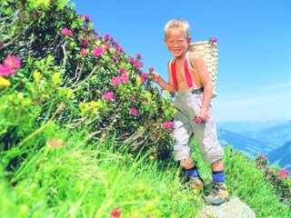 Vakantiehuis Kaltenbach Omgeving 22