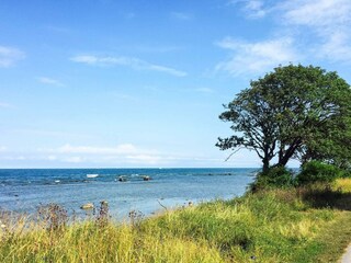 Vakantiehuis Visby  8