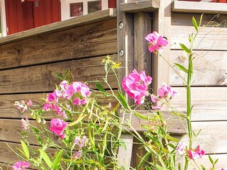 Vakantiehuis Muskö  8
