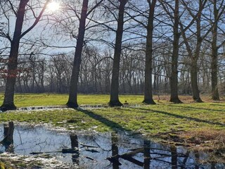 Ferienhaus Boxtel Umgebung 27