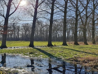 Vakantiehuis Boxtel Omgeving 27