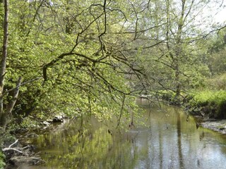 Holiday house Boxtel Environment 32