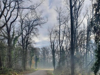 Maison de vacances Boxtel Environnement 32