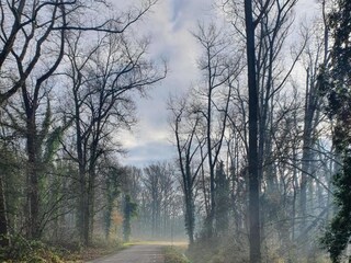 Vakantiehuis Boxtel Omgeving 32