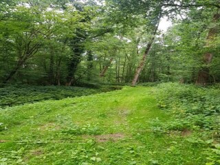 Ferienhaus Boxtel Umgebung 33