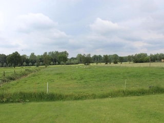 Vakantiehuis Boxtel Omgeving 36