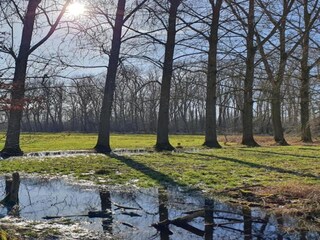 Holiday house Boxtel Environment 35