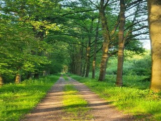 Vakantiehuis Boxtel Omgeving 16