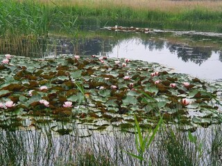 Vakantiehuis Boxtel Omgeving 22