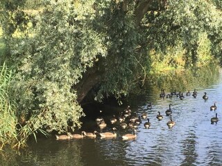 Vakantiehuis Boxtel Omgeving 23