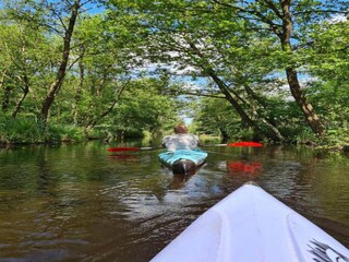 Vakantiepark De Bult Omgeving 34