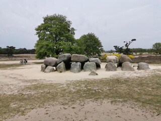 Parc de vacances De Bult Environnement 31