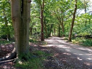 Parc de vacances De Bult Environnement 23