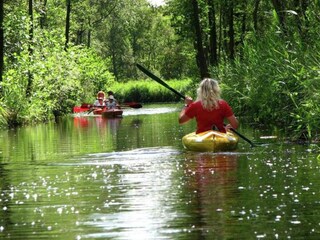 Parc de vacances De Bult Environnement 22