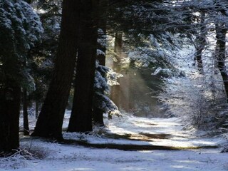 Parc de vacances De Bult Environnement 23