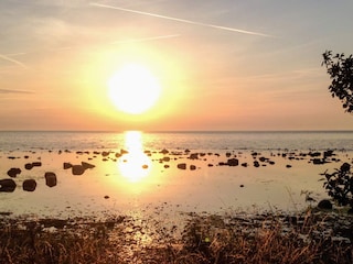 Vakantiehuis Visby  8