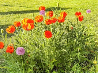 Holiday house Visby Outdoor Recording 5