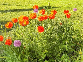 Vakantiehuis Visby Buitenaudio-opname 4