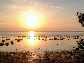 Vakantiehuis Visby  14