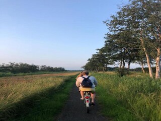 Vakantiepark De Bult Omgeving 24