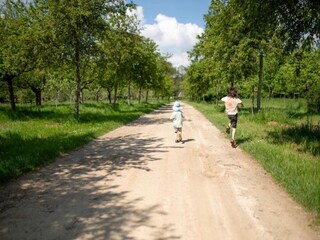 Ferienpark De Bult Umgebung 27