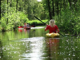 Ferienpark De Bult Umgebung 33