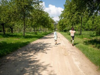 Holiday park De Bult Environment 40