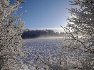 Ferienpark De Bult Umgebung 31