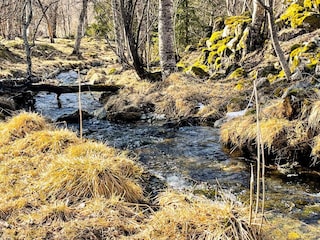 Ferienhaus Hemsedal  34