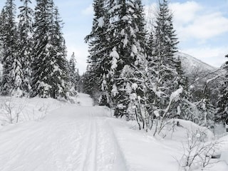 Ferienhaus Hemsedal  22