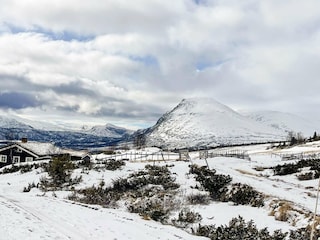 Holiday house Hemsedal  6