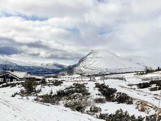 Holiday house Hemsedal  19