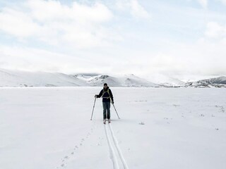 Ferienhaus Hemsedal  19