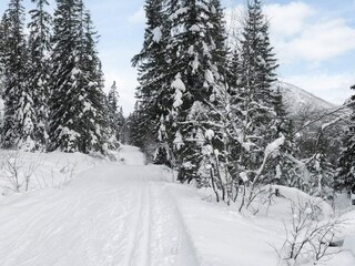Ferienhaus Hemsedal  30