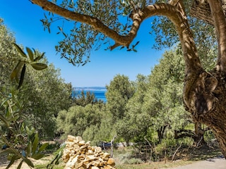 Apartment Supetarska Draga Außenaufnahme 2