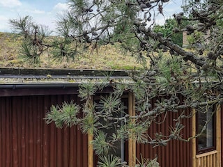 Ferienhaus Rødhus Außenaufnahme 3