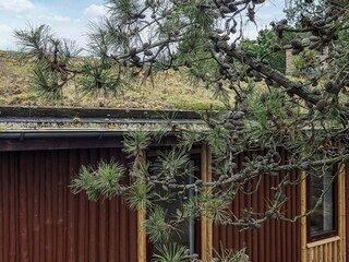 Ferienhaus Rødhus Außenaufnahme 3