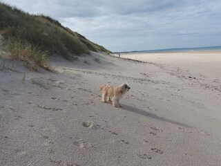 Casa per le vacanze Rødhus Registrazione all'aperto 4